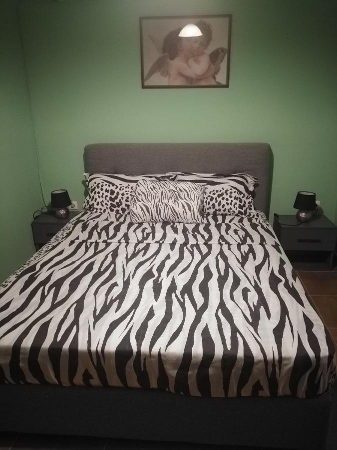 Vicky'S Apartment Near To The Airport Ολόκληρο Διαμέρισμα Antimachia ภายนอก รูปภาพ